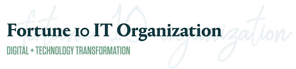 fortune 10 IT organization logo