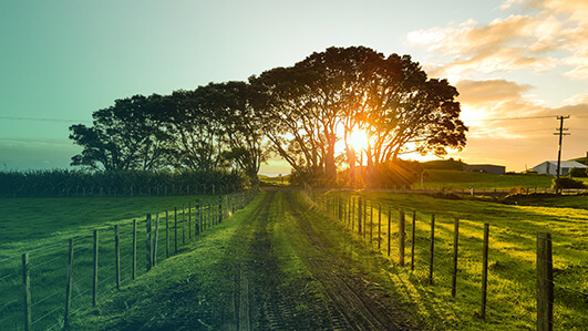 Farm in the sunset
