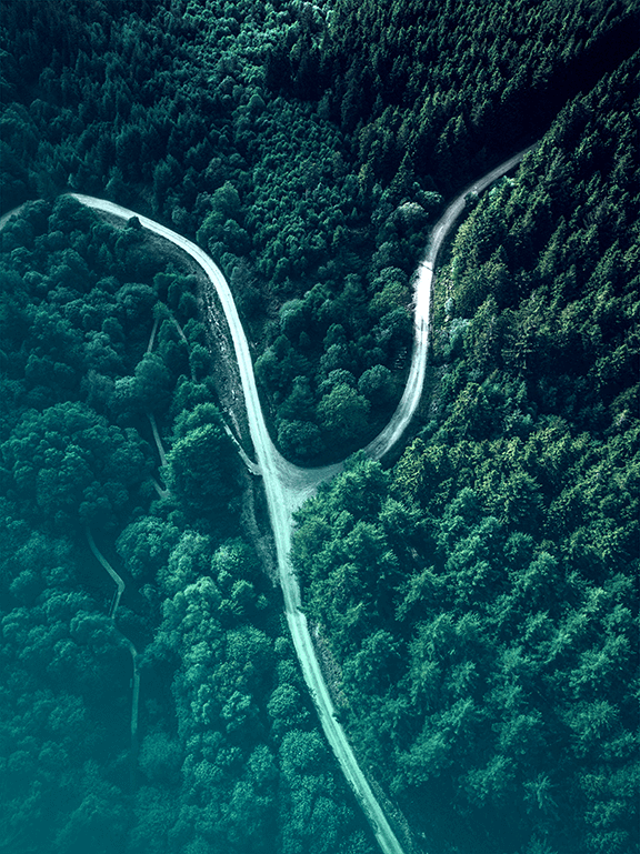 A fork in the road, diverging paths in the forest